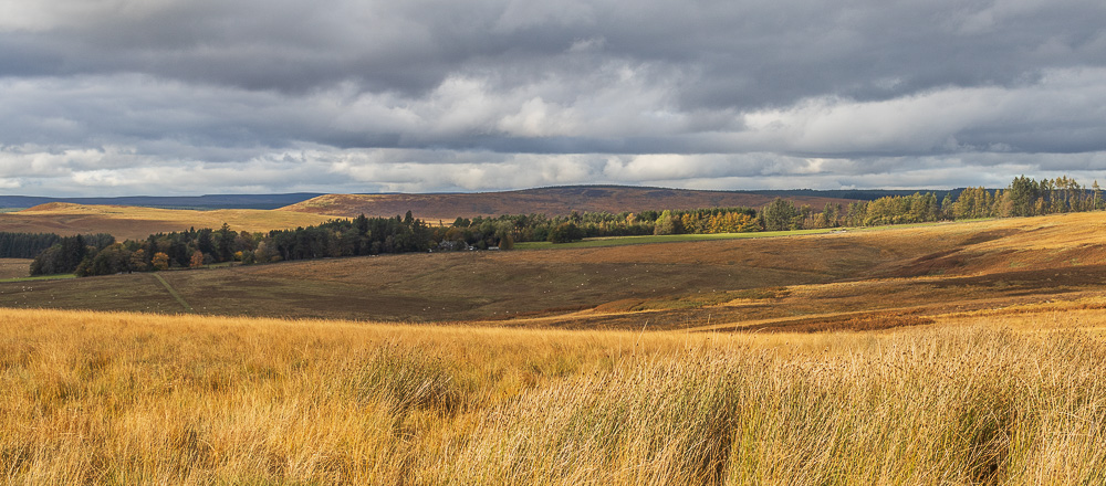 Belling Rigg